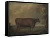 Red Devon Heifers in landscape, 1812-Thomas Weaver-Framed Stretched Canvas