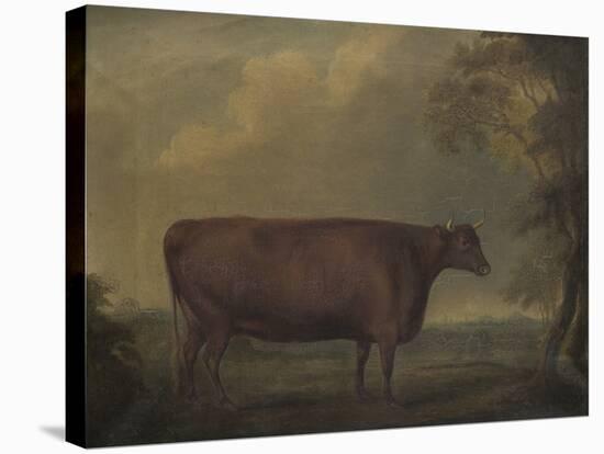 Red Devon Heifers in landscape, 1812-Thomas Weaver-Stretched Canvas