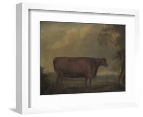 Red Devon Heifers in landscape, 1812-Thomas Weaver-Framed Giclee Print