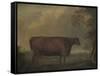 Red Devon Heifers in landscape, 1812-Thomas Weaver-Framed Stretched Canvas