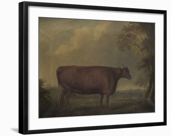 Red Devon Heifers in landscape, 1812-Thomas Weaver-Framed Giclee Print