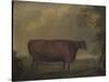 Red Devon Heifers in landscape, 1812-Thomas Weaver-Stretched Canvas