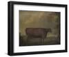 Red Devon Heifers in landscape, 1812-Thomas Weaver-Framed Premium Giclee Print