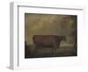 Red Devon Heifers in landscape, 1812-Thomas Weaver-Framed Premium Giclee Print