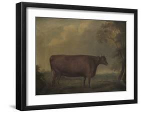 Red Devon Heifers in landscape, 1812-Thomas Weaver-Framed Giclee Print