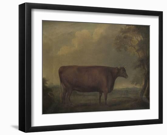 Red Devon Heifers in landscape, 1812-Thomas Weaver-Framed Giclee Print