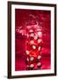 Red Dice Splash-Steve Gadomski-Framed Photographic Print