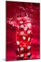 Red Dice Splash-Steve Gadomski-Mounted Photographic Print