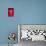 Red Dice Splash-Steve Gadomski-Photographic Print displayed on a wall