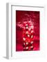 Red Dice Splash-Steve Gadomski-Framed Photographic Print