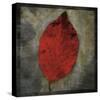 Red Dogwood-John Golden-Stretched Canvas