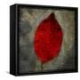 Red Dogwood-John W Golden-Framed Stretched Canvas