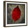 Red Dogwood-John W Golden-Framed Giclee Print