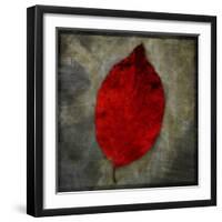 Red Dogwood-John W Golden-Framed Giclee Print