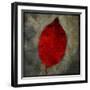 Red Dogwood-John W Golden-Framed Giclee Print