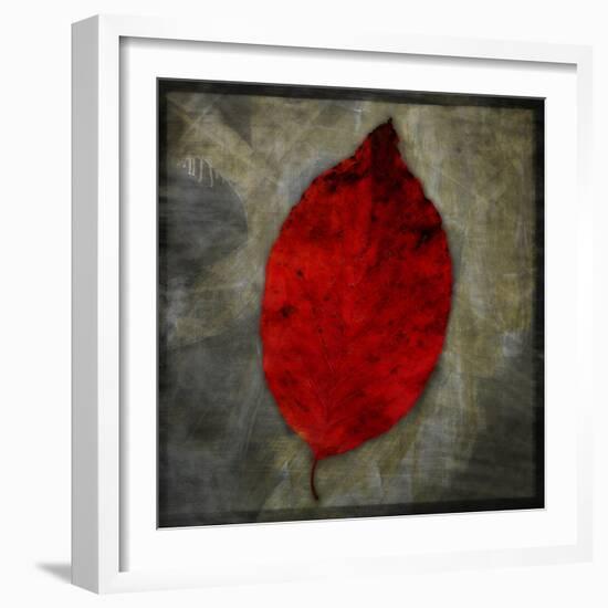 Red Dogwood-John W Golden-Framed Giclee Print