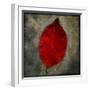 Red Dogwood-John W Golden-Framed Giclee Print