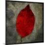 Red Dogwood-John W Golden-Mounted Giclee Print