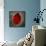 Red Dogwood-John W Golden-Giclee Print displayed on a wall