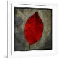 Red Dogwood-John W Golden-Framed Giclee Print