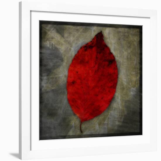 Red Dogwood-John W Golden-Framed Giclee Print