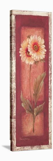 Red Door Gaillardia-Pamela Gladding-Stretched Canvas