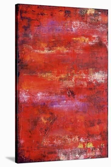 Red Door II-Erin Ashley-Stretched Canvas