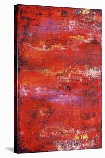 Red Door II-Erin Ashley-Stretched Canvas