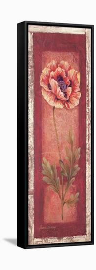 Red Door Poppy-Pamela Gladding-Framed Stretched Canvas