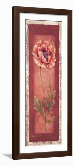Red Door Poppy-Pamela Gladding-Framed Art Print