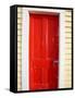 Red Door, Sutton Railway Station, Otago, South Island, New Zealand-David Wall-Framed Stretched Canvas