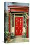 Red door with painted daisies, surrounded by flowers and vines.-Tom Haseltine-Stretched Canvas