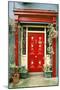 Red door with painted daisies, surrounded by flowers and vines.-Tom Haseltine-Mounted Photographic Print