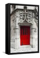 Red Door-Tracey Telik-Framed Stretched Canvas