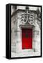 Red Door-Tracey Telik-Framed Stretched Canvas