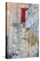 Red Door-Ursula Abresch-Stretched Canvas