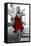 Red Dress in the City-JJ Brando-Framed Stretched Canvas