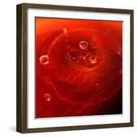 Red Drink Drop I-Tammy Putman-Framed Photographic Print