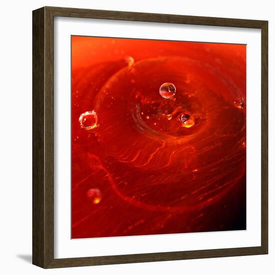 Red Drink Drop I-Tammy Putman-Framed Photographic Print