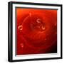Red Drink Drop I-Tammy Putman-Framed Photographic Print