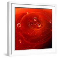 Red Drink Drop I-Tammy Putman-Framed Photographic Print