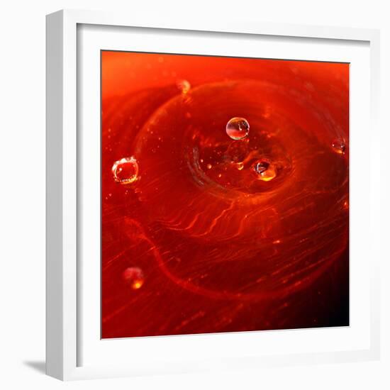 Red Drink Drop I-Tammy Putman-Framed Photographic Print