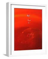 Red Drink Drop II-Tammy Putman-Framed Photographic Print