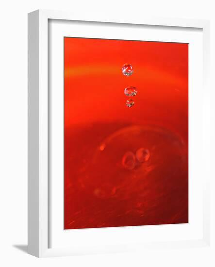 Red Drink Drop II-Tammy Putman-Framed Photographic Print