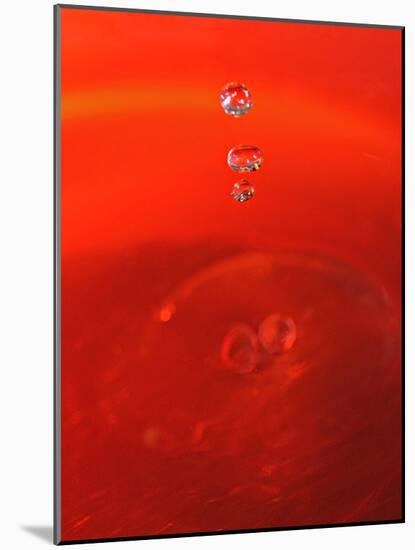 Red Drink Drop II-Tammy Putman-Mounted Photographic Print
