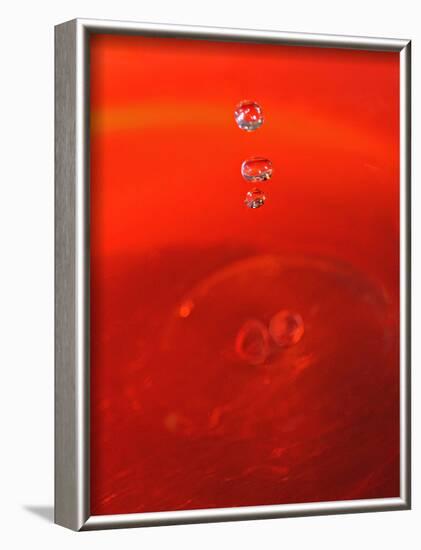 Red Drink Drop II-Tammy Putman-Framed Photographic Print