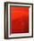 Red Drink Drop II-Tammy Putman-Framed Photographic Print