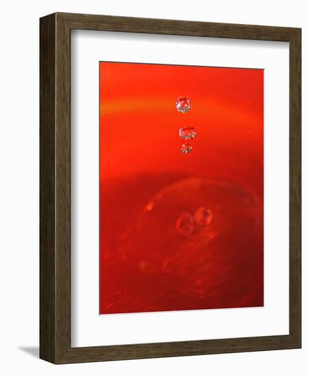 Red Drink Drop II-Tammy Putman-Framed Photographic Print