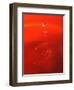 Red Drink Drop II-Tammy Putman-Framed Photographic Print