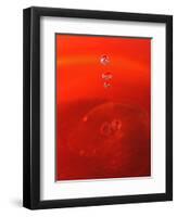Red Drink Drop II-Tammy Putman-Framed Photographic Print
